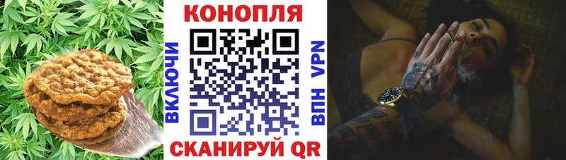 Cannafood конопля  что такое наркотик  kraken как войти  Анива 